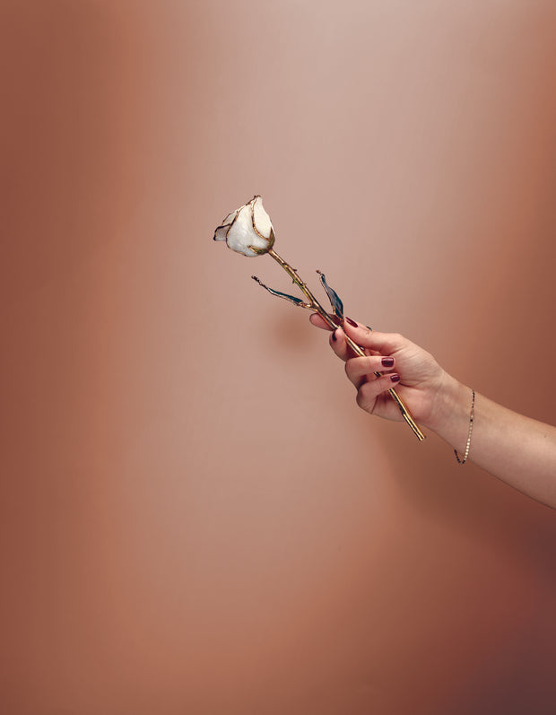 Preserved White Rose with 24K Gold Trim