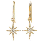 Ladies Fashion Diamond Earrings