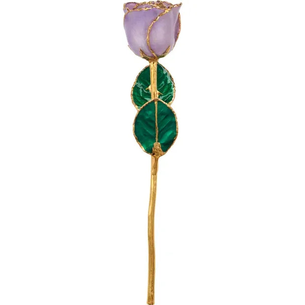 Preserved Lavender Rose Trimmed in 24K Gold