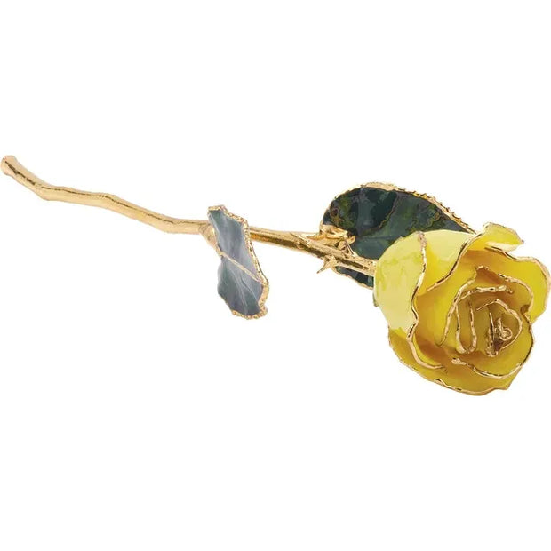 Preserved Yellow Rose with Gold Trim