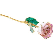 Preserved Cream Picasso Rose with Gold Trim