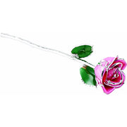 Preserved Pink Rose with Platinum Trim