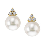 Ladies Fashion Pearl Earrings