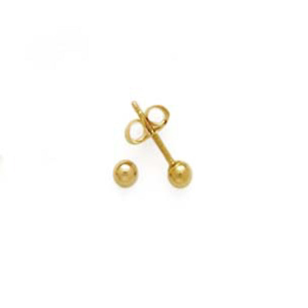 Ladies Fashion Earrings