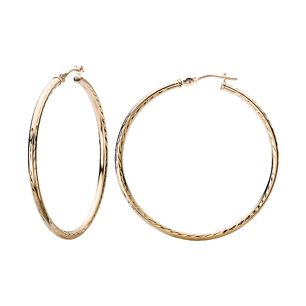 Ladies Fashion Hoop Earrings