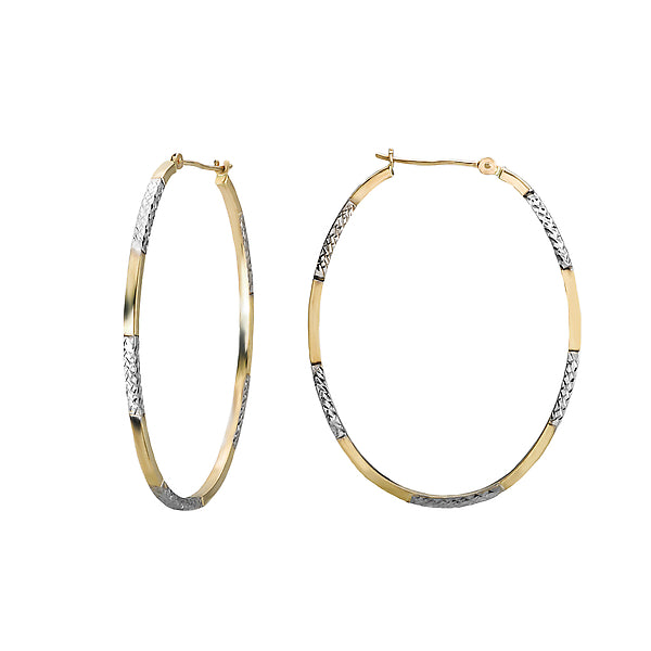 Ladies Fashion Hoop Earrings