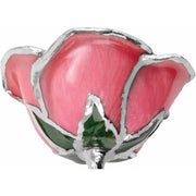 Preserved Pink Rose with Platinum Trim