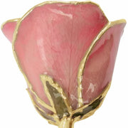 Preserved Pink Rose Trimmed in 24K Gold