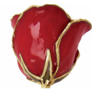 Preserved Red Rose with 24K Gold Trim