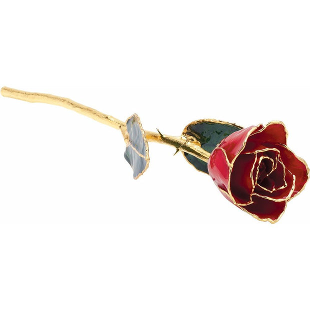 Preserved Red Rose with 24K Gold Trim