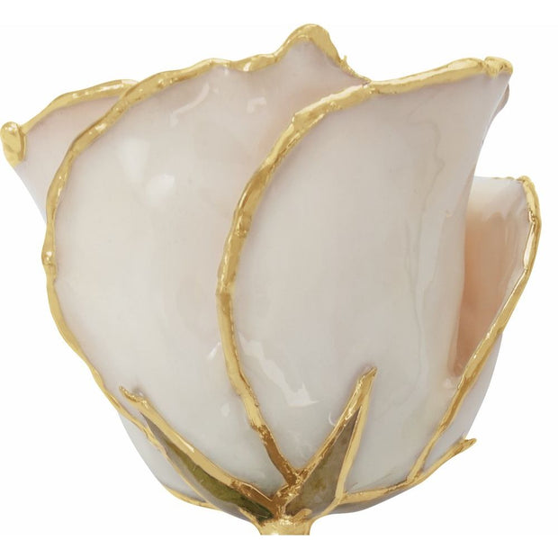 Preserved White Rose with 24K Gold Trim