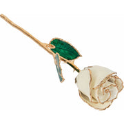 Preserved White Rose with 24K Gold Trim