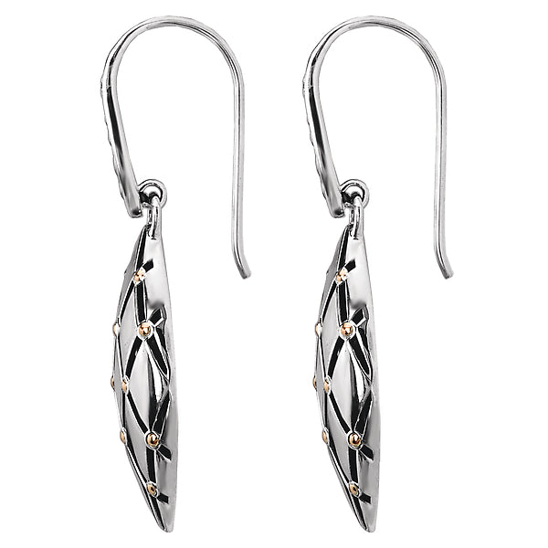 Ladies Fashion Earrings