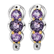 Ladies Gemstone Earrings