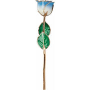 Preserved Cream Blue Rose with Gold Trim