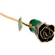 Preserved Black Rose with Gold Trim