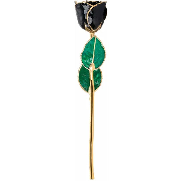 Preserved Black Rose with Gold Trim