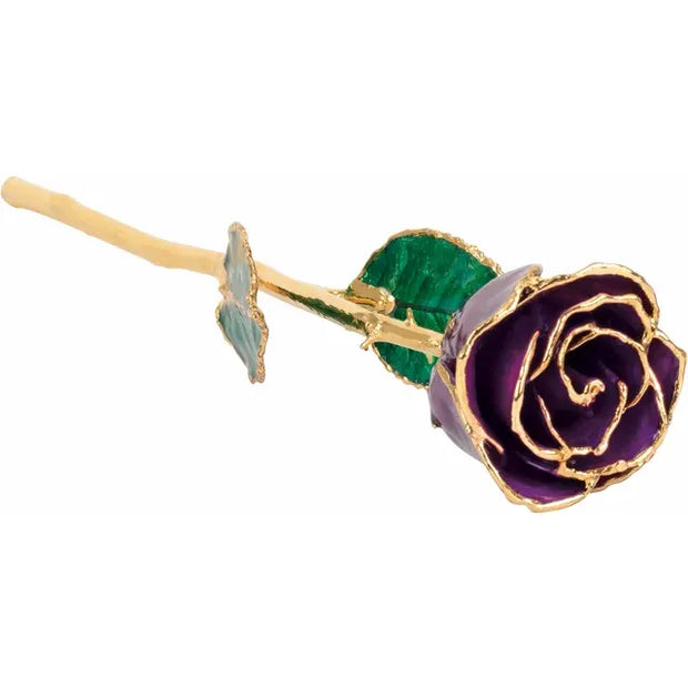 Preserved Purple Rose with Gold Trim