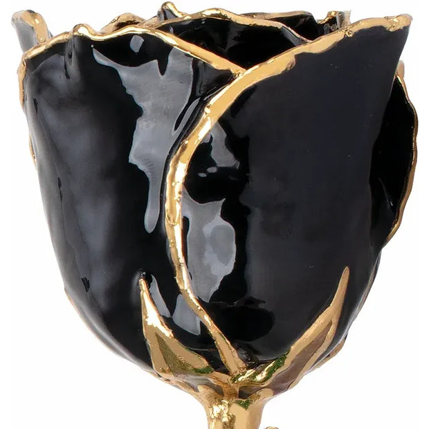 Preserved Black Rose with Gold Trim