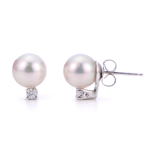 14KT White Gold Akoya Pearl Earring