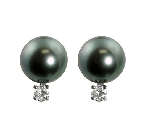 14KT White Gold Tahitian Pearl Earring