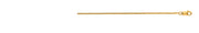 18K Gold 1.6mm Franco Chain
